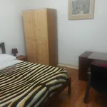 Hostel Paradise